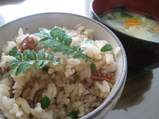 080504hiru.png
