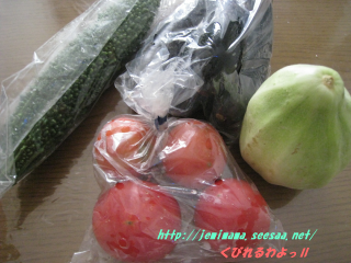 080730ya.png