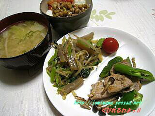 080929hiru.jpg