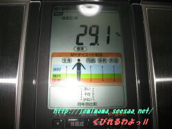 09012103.jpg