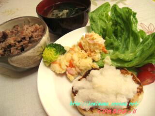 090308hiru.jpg